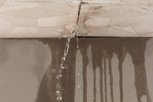 Professional Structural Drying technician working in York Harbor, ME
